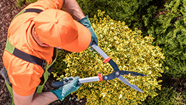 Peyzaj Uygulamaları